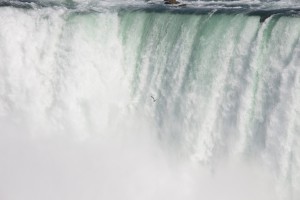 Niagara Falls, NY         